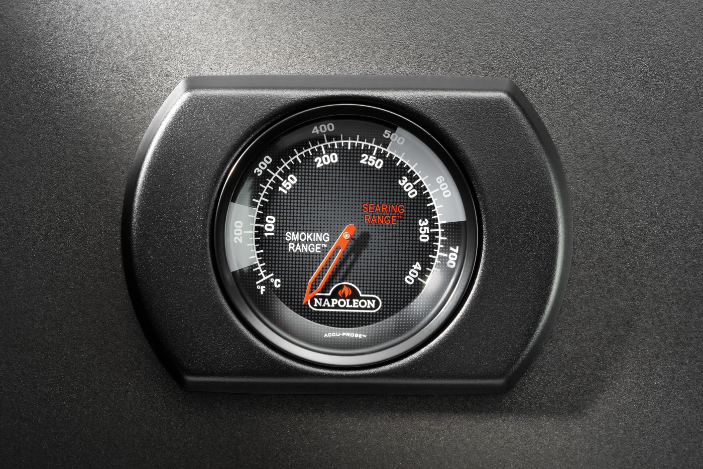 Termometr ACCU-PROBE™